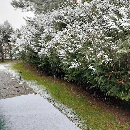 Dunakanyar, Szentendrei Sziget Szamoca Vendeghaz Horany Telen Nyaron ゲストハウス